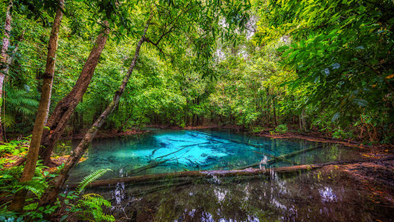 Emerald Pool