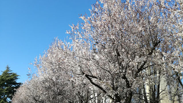 Centro de Especialidades La Condesa