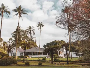 The Knoll Historic Guest Farm