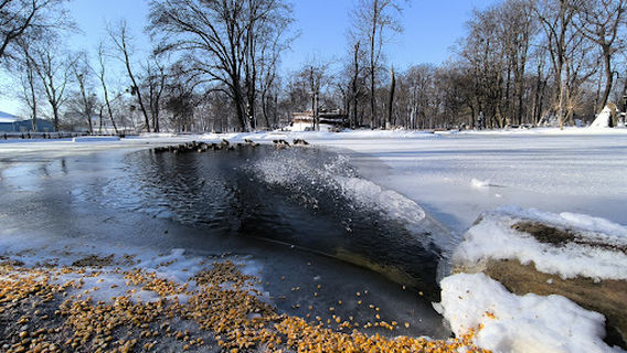 Park Municipal Roman
