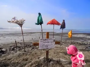Lapindo Sidoarjo Mud Vulcano