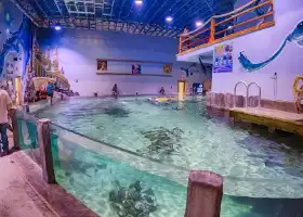 Houston Interactive Aquarium & Animal Preserve