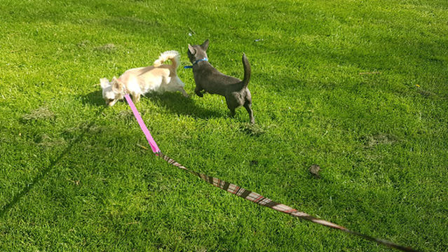 Anfield Sport & Community Centre