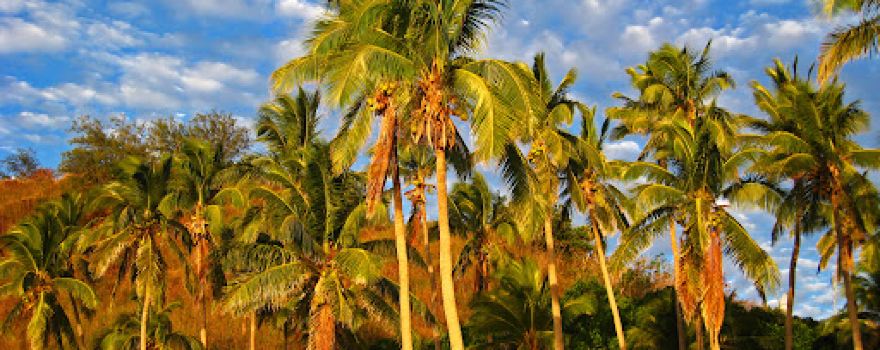 Nanuya Balavu Island