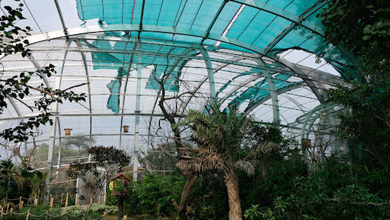 Chandigarh Bird Park