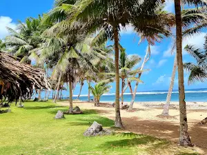 Vavau Beach Fales