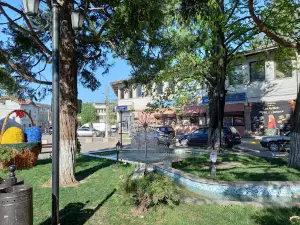 Center Dolna Banya