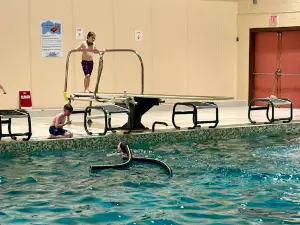 SAERC Pool
