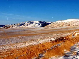 Daurskiy Gosudarstvennyy Prirodnyy Zapovednik