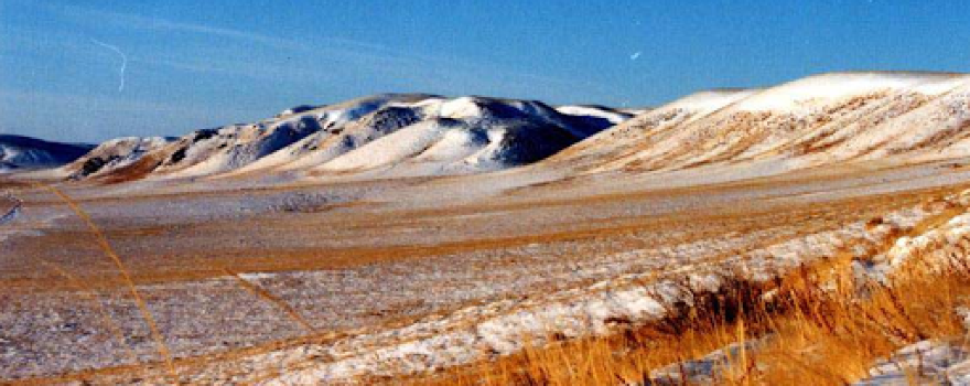 Daurskiy Gosudarstvennyy Prirodnyy Zapovednik