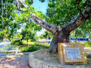 Parque San Roque