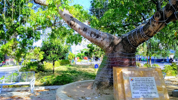 Parque San Roque