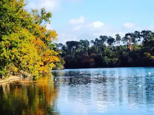 黑暗公園