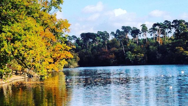 Black Park Country Park