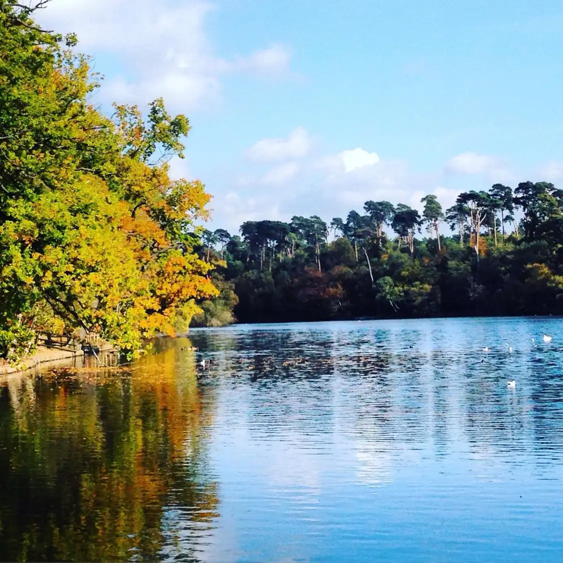 Hotels near Black Park Country Park