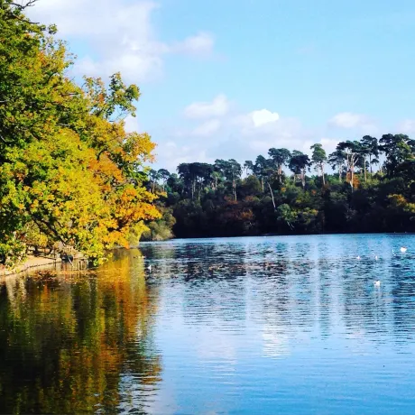 黑暗公園