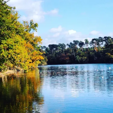Black Park Country Park