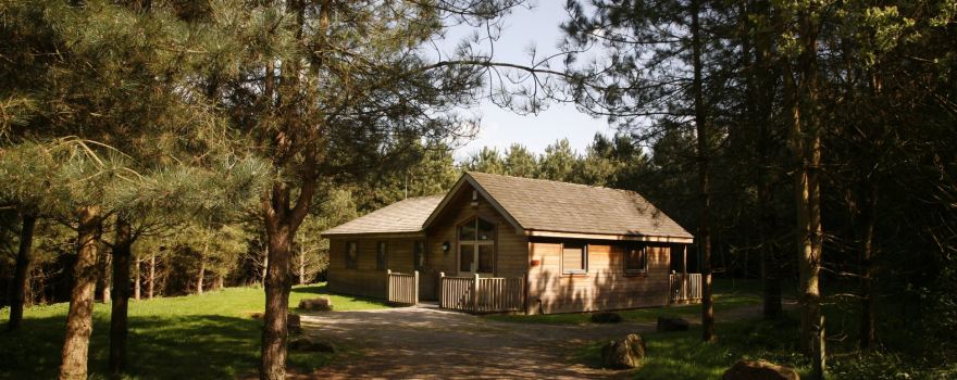 Rosliston Forestry Centre