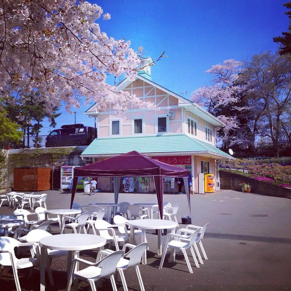 Luna Amusement Park