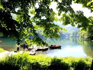 Biogradska gora National Park