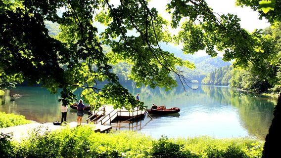 Biogradska gora National Park