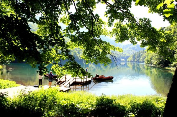 Biogradska gora National Park