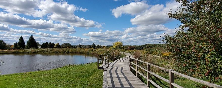 The Dawes Arboretum