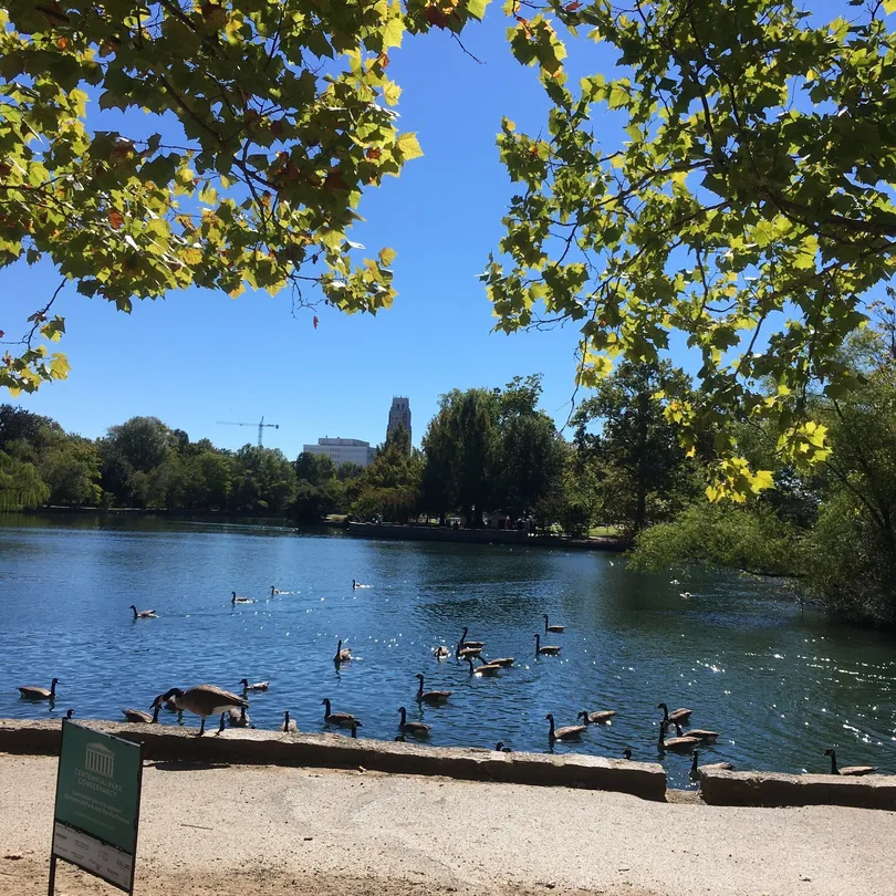 5_Centennial Park