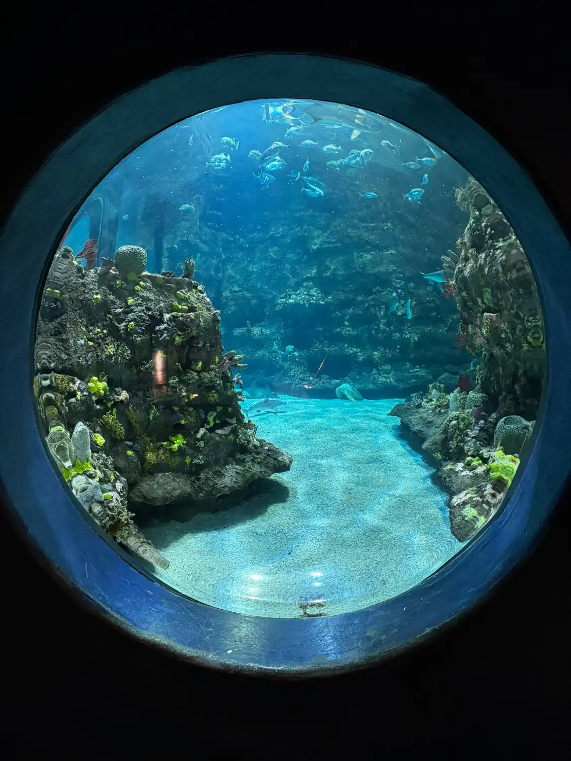North Carolina Aquarium at Fort Fisher附近的飯店