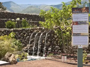 Pyramids of Güímar