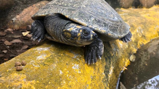 Bioparque Los Ocarros