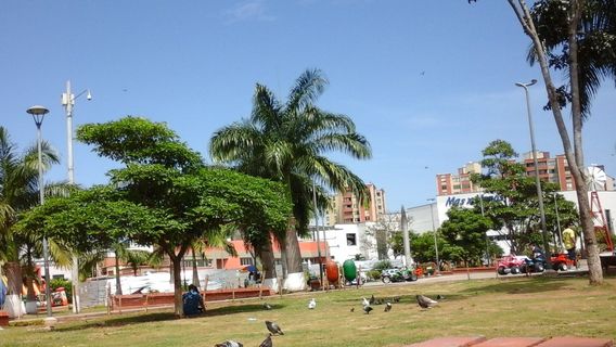 Mitiguan