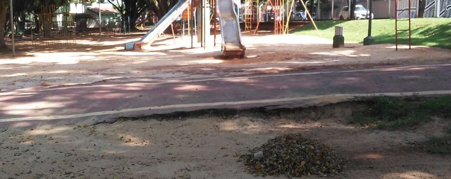 Tom Leite Park
