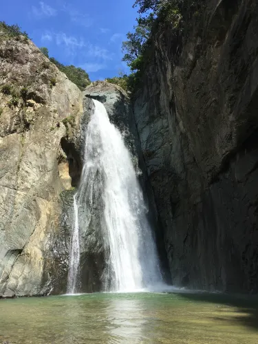 哈拉瓦科阿