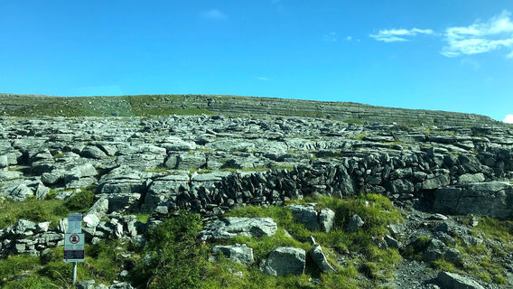 Burren Exposure