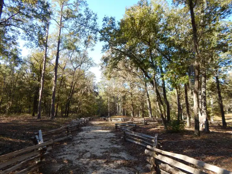 Hotels in Bamberg County