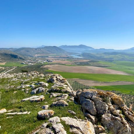 Teba