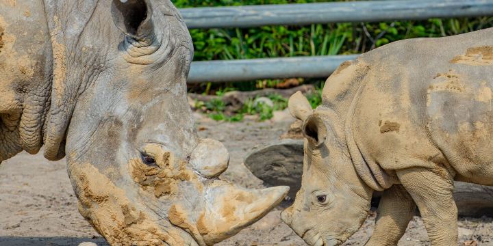 Zoo Dortmund