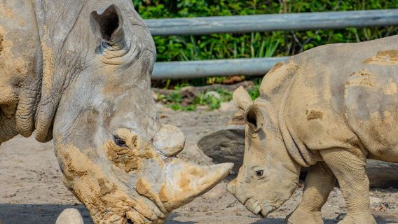 Zoo Dortmund