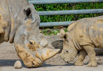 Zoo Dortmund