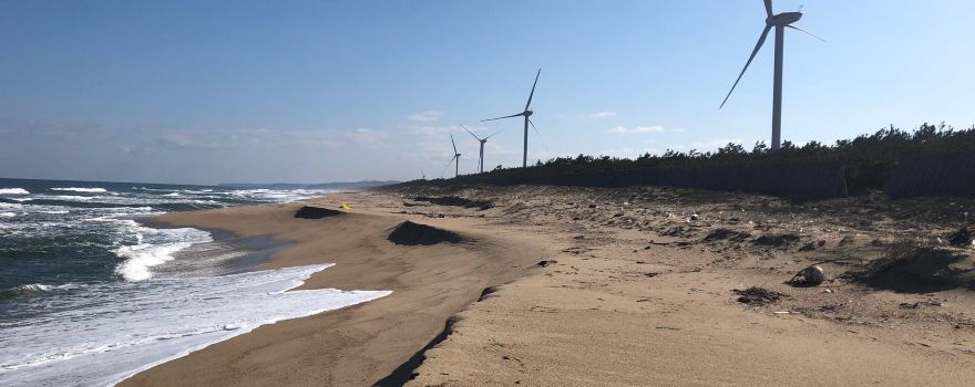 Hokujo Dune