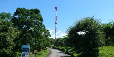 宇和海展望タワー