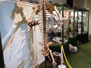 Gem Rock Museum