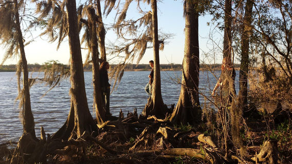 Historic Blakeley State Park