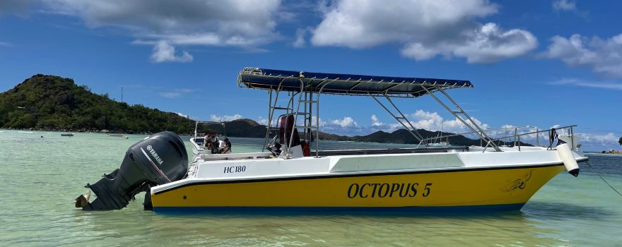 Octopus Diving Center
