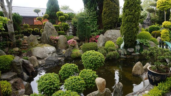 Den Japanske Have - Struer