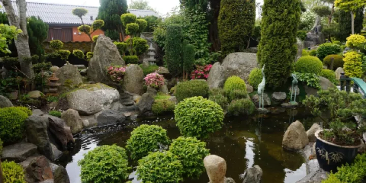 Den Japanske Have - Struer
