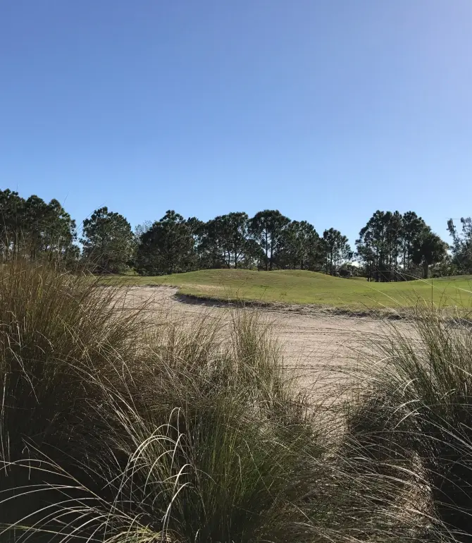 Winter Beach