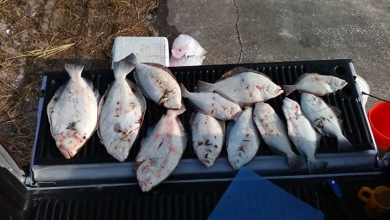 Flounder Gigging Charters