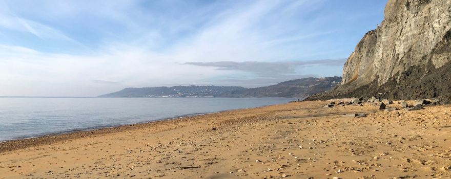 Fossil Hunting Walks